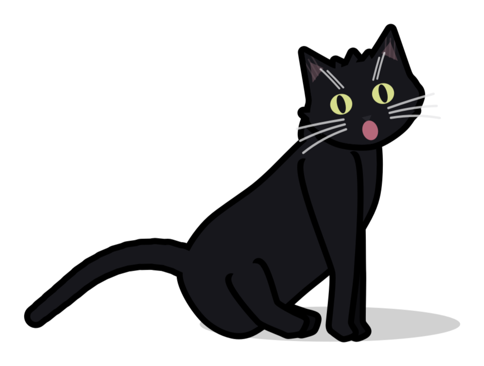 Shocked Cat