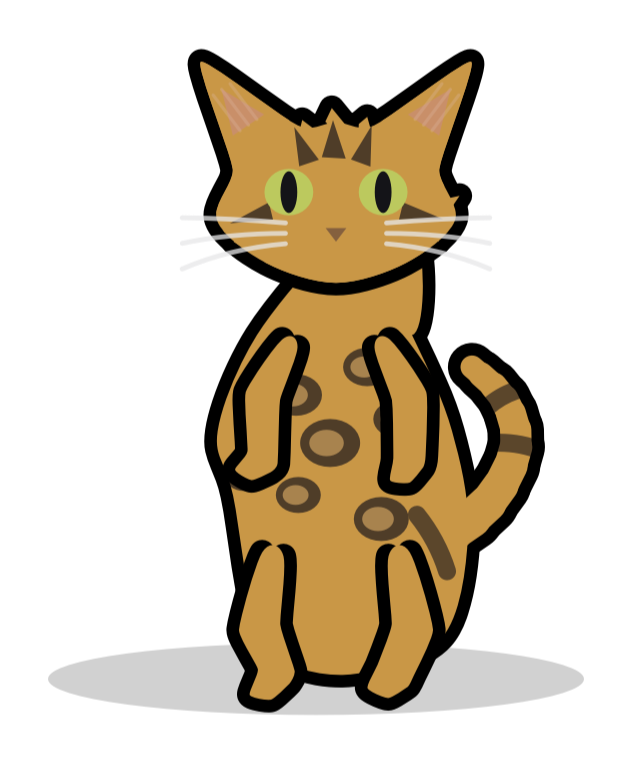 Nyx the cat